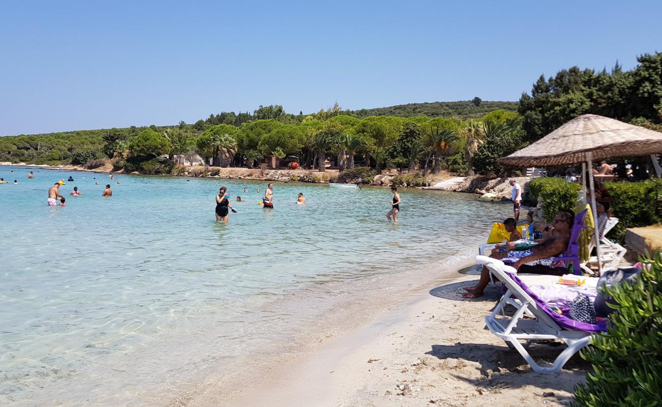 Фото Quente Beach Club с золотистый песок поверхностью