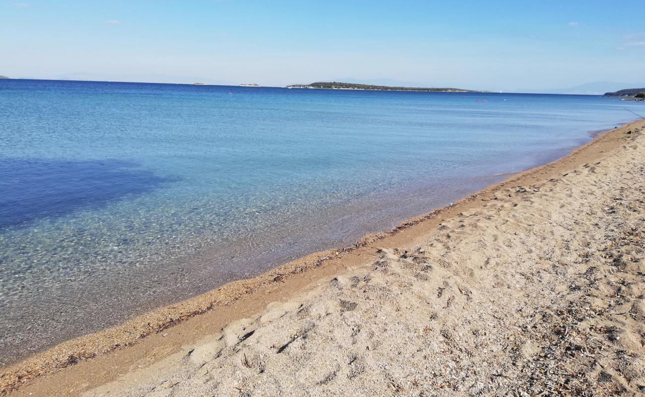 Фото Yat Limani Beach с темный песок поверхностью