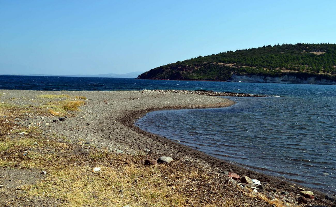 Фото Sebatepolis beach с камни поверхностью