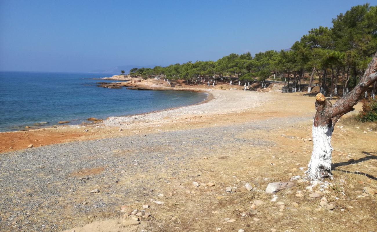 Фото Yesilovacik beach с светлая галька поверхностью