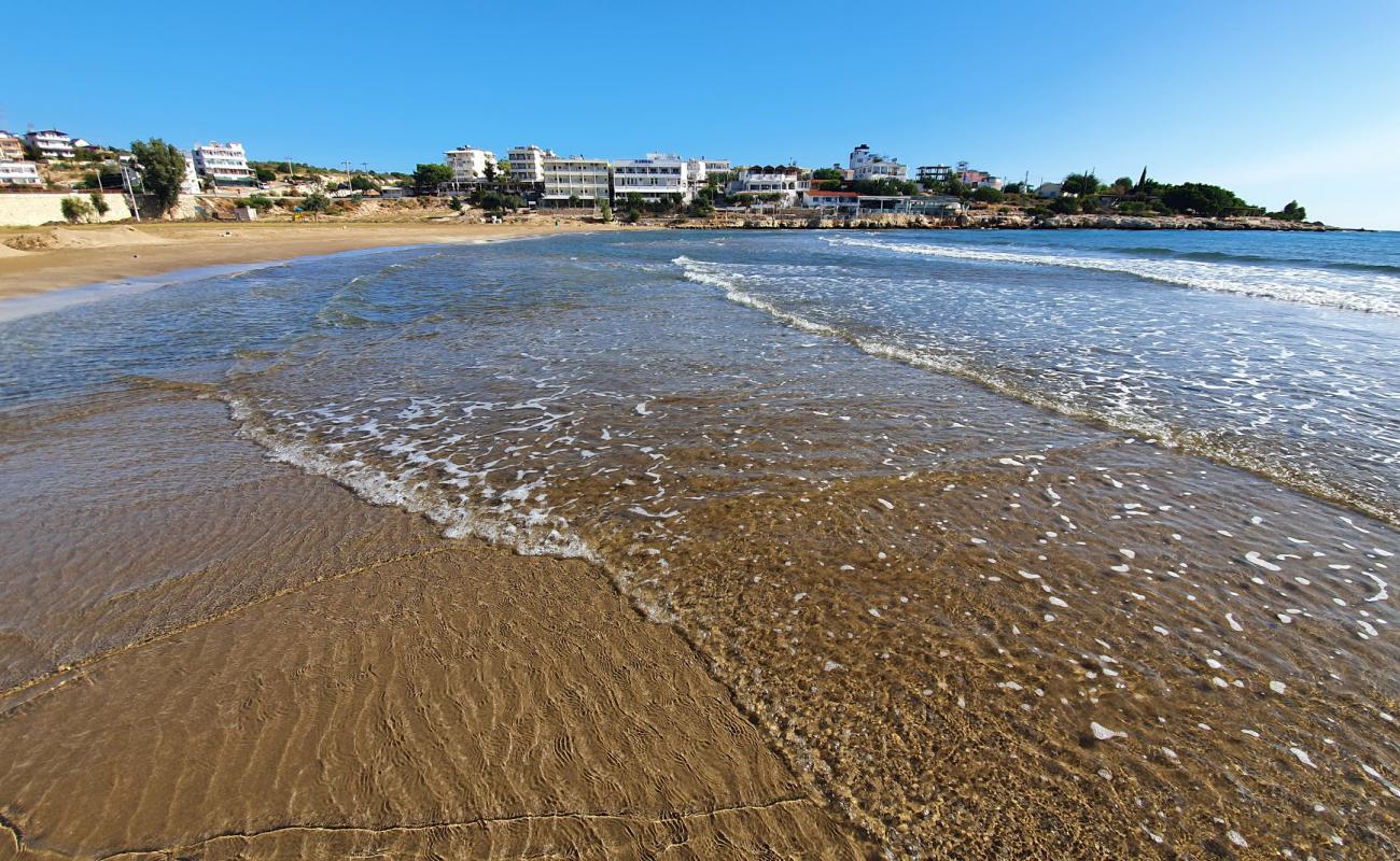 Фото Akkum beach с светлый песок поверхностью