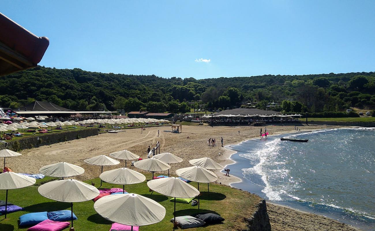 Фото Uzunya beach с светлый песок поверхностью