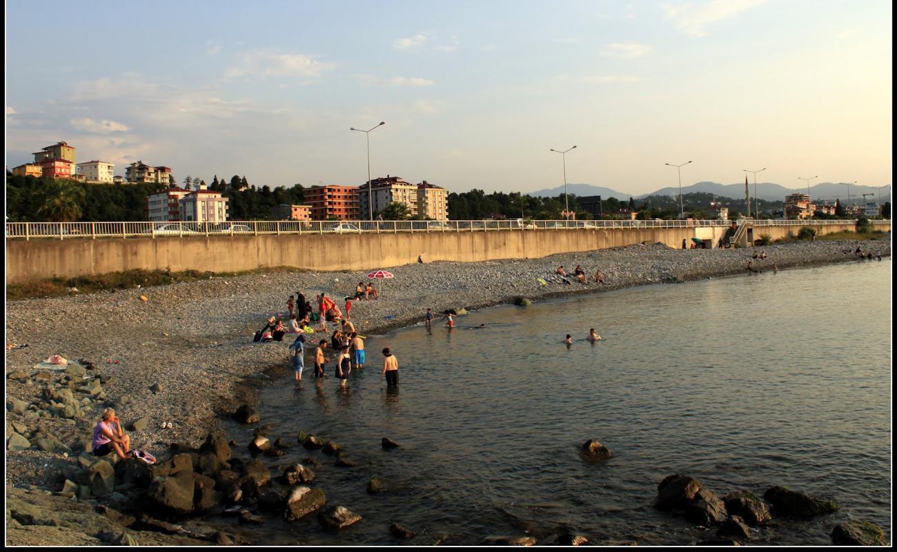 Фото Hamidiye Beach с серая галька поверхностью