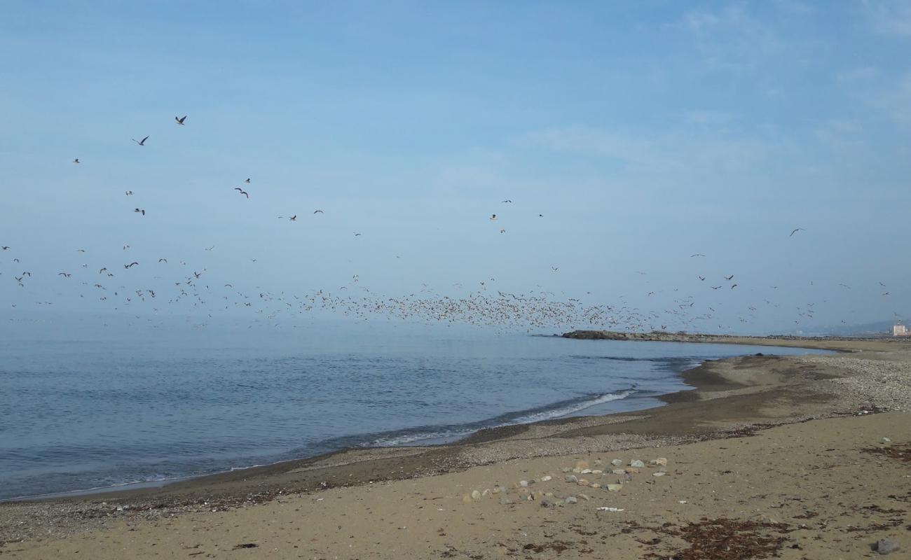 Фото Sogukpinar Neighborhood Beach с песок с камнями поверхностью