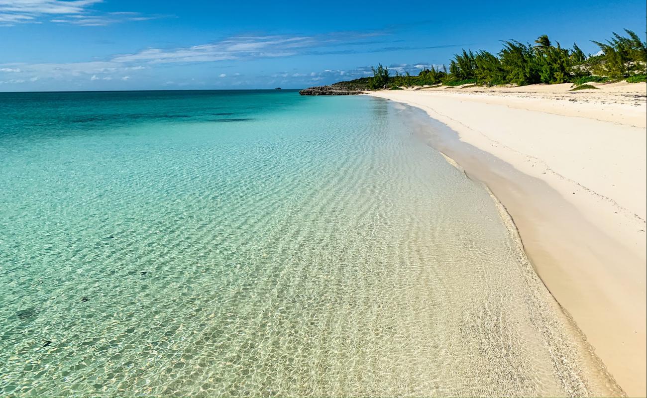 Фото Taylor Bay beach с золотистый песок поверхностью