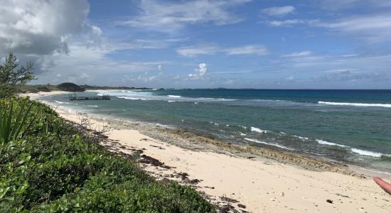 Conch Bar beach