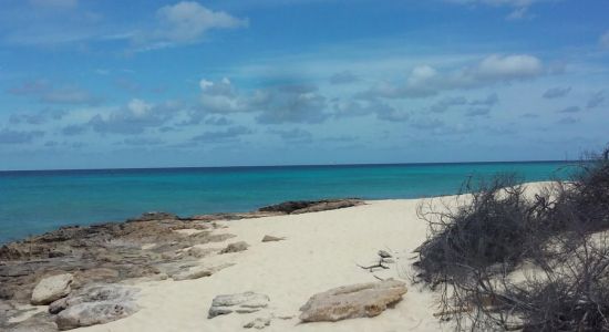 English Point beach