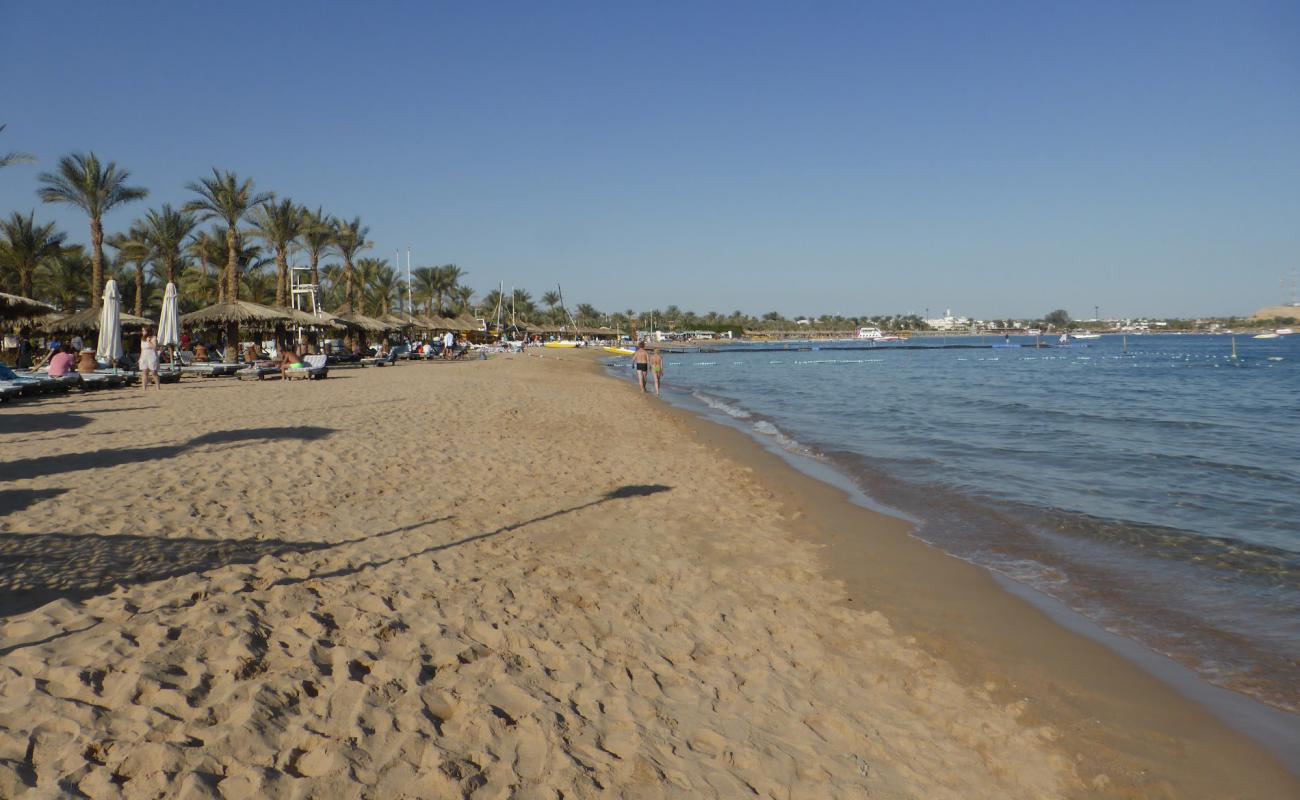 Фото Naama bay beach с светлый песок поверхностью