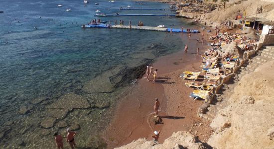 Shark Bay beach