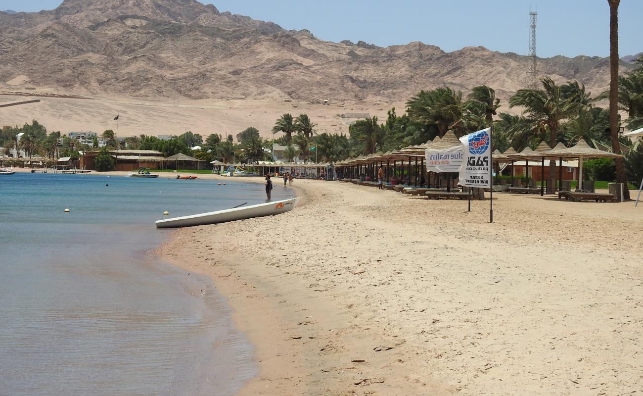 Фото Dahab Lagoon beach с светлый песок поверхностью