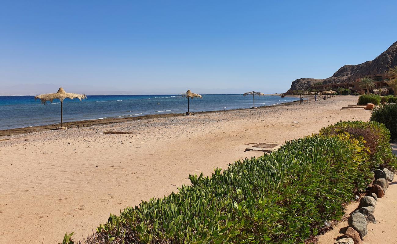 Фото Saladin Hotel Taba с светлая галька поверхностью