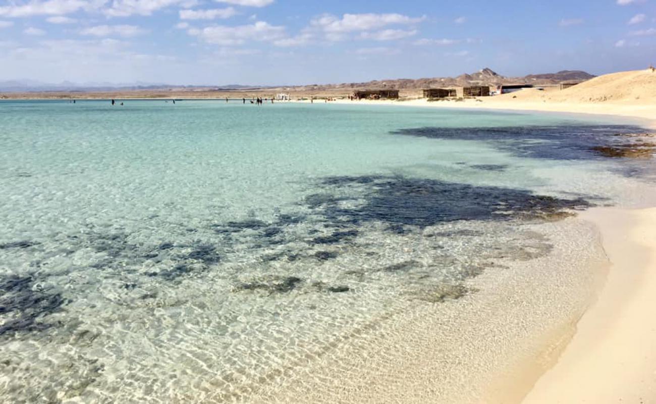 Фото Ras Hankorab beach с светлый песок поверхностью