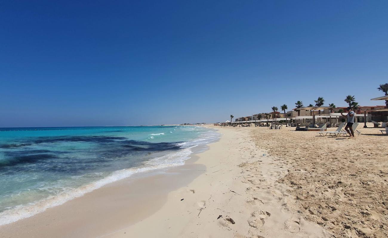 Фото Marsa Baghush Beach с золотистый песок поверхностью