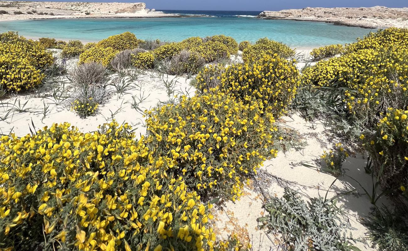 Фото Ras El Hikma Beach с светлый песок поверхностью