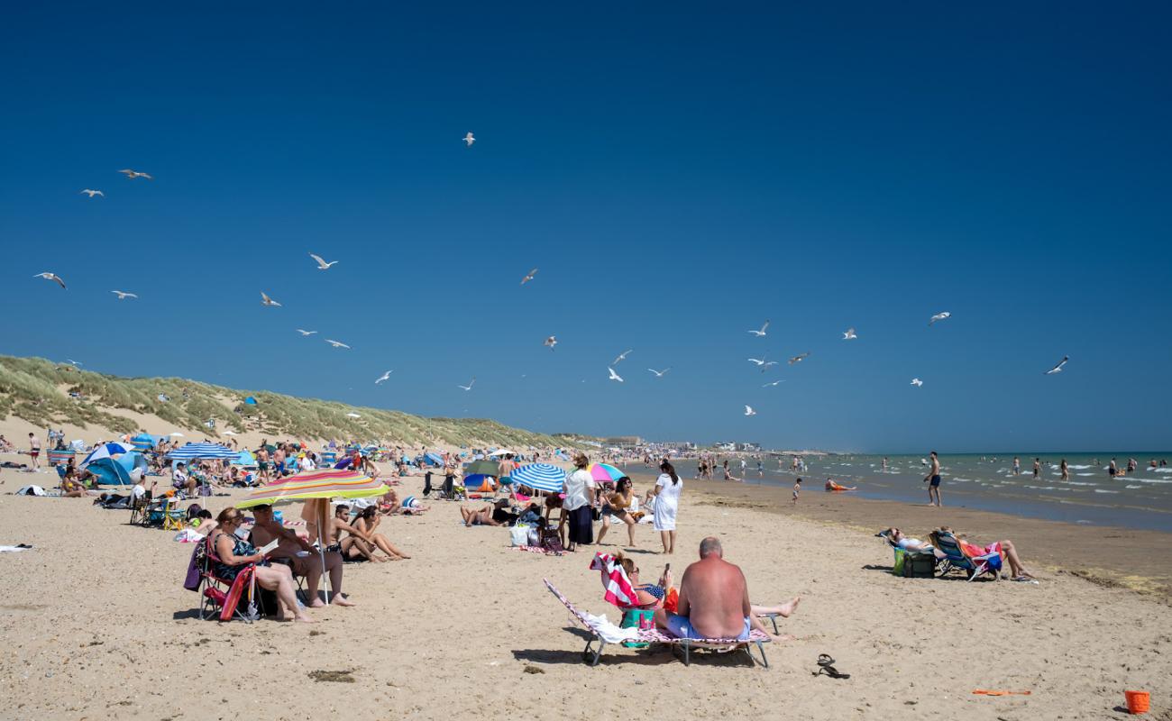 Фото Camber sands beach с светлый песок поверхностью