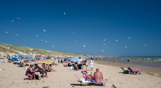 Camber sands beach