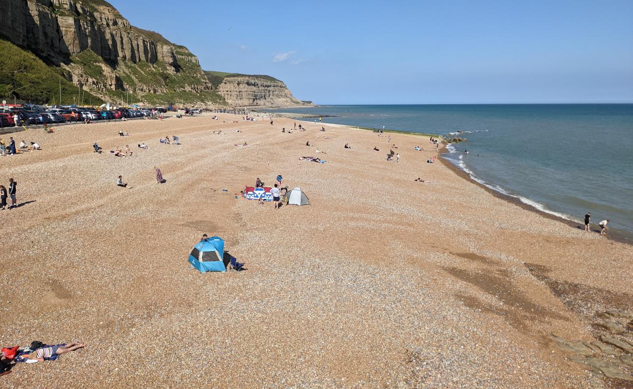 Фото Hastings beach с белая чистая галька поверхностью