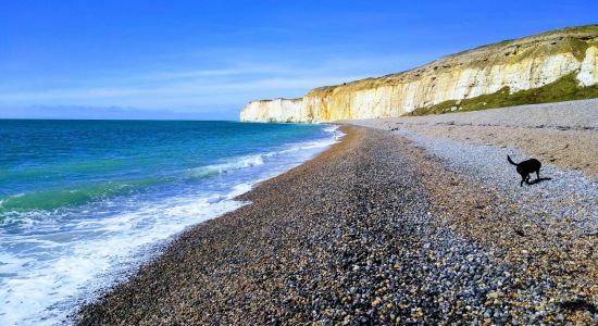 Newhaven beach