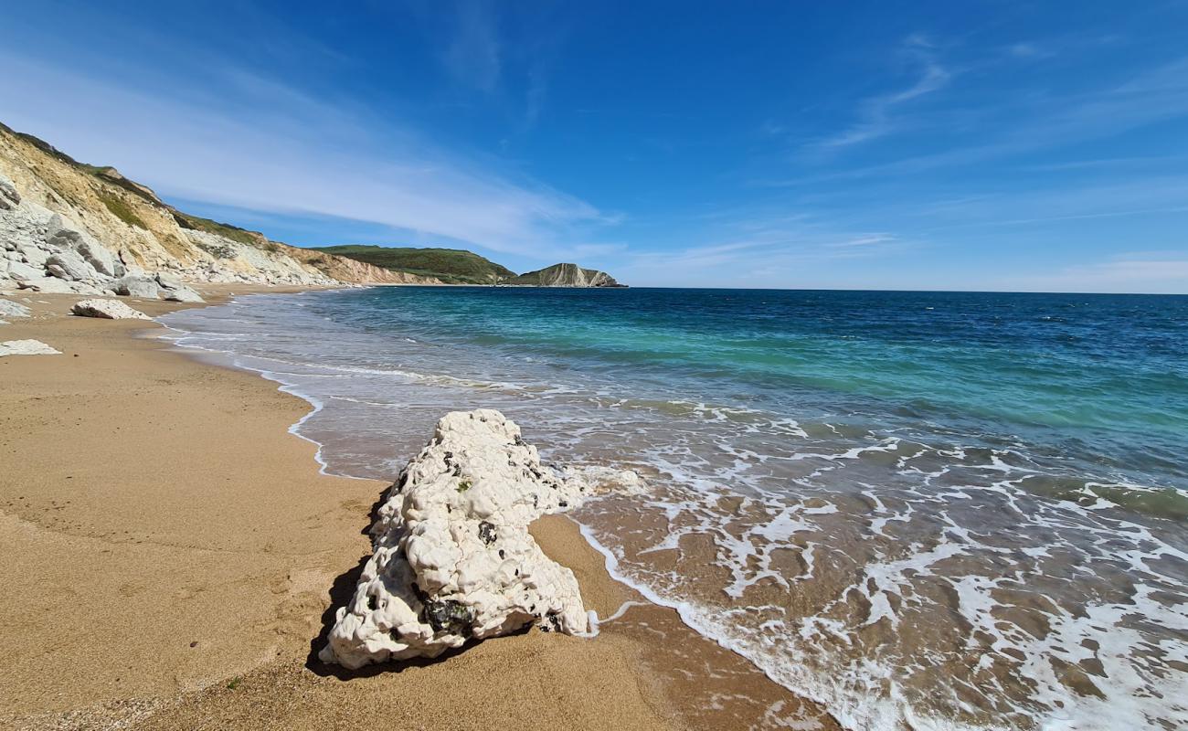 Фото Worbarrow beach с белая чистая галька поверхностью