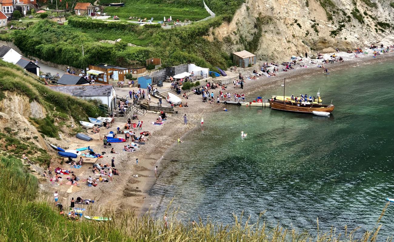 Фото Lulworth Cove с камни поверхностью