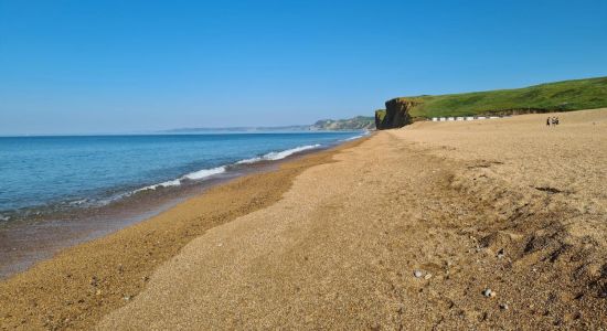 Jurassic Coast - Cliff II