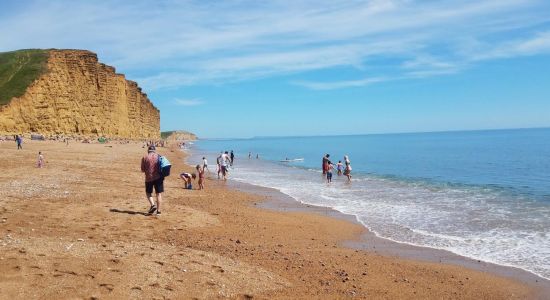 Bridport beach Front