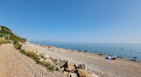 Branscombe beach