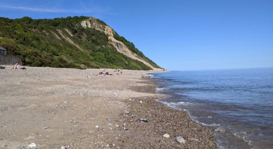 Weston Mouth