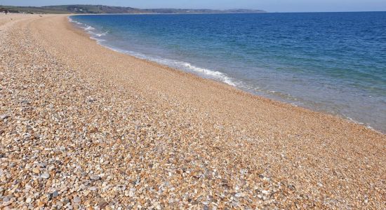 Slapton Beach