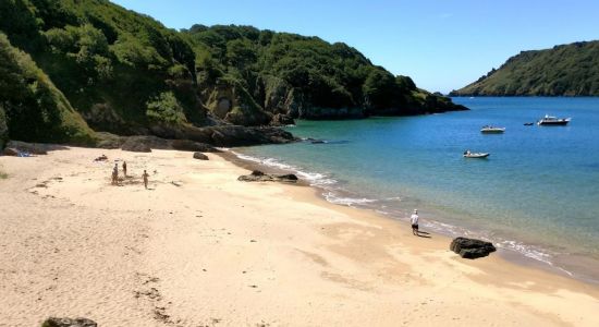 Sunny cove beach