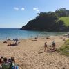 Mothecombe beach