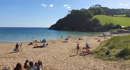 Mothecombe beach