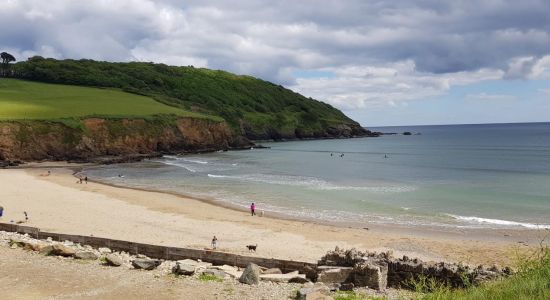 Caerhays Beach (Porthluney Bay)