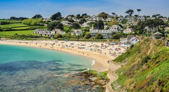 Gyllyngvase beach