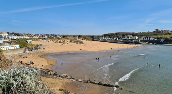 Summerleaze beach