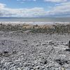 Southerndown beach