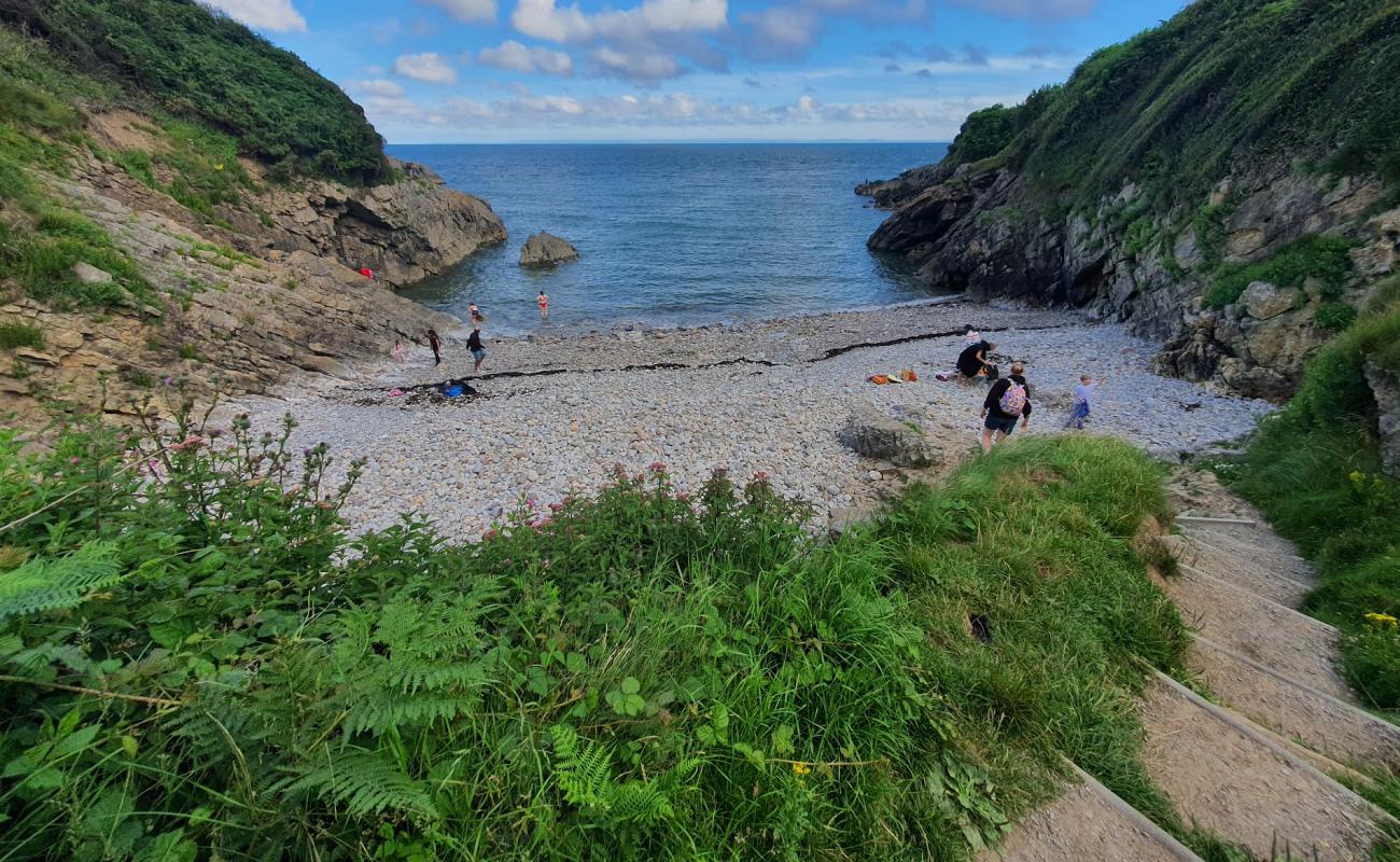 Фото Brandy Cove с песок с галькой поверхностью