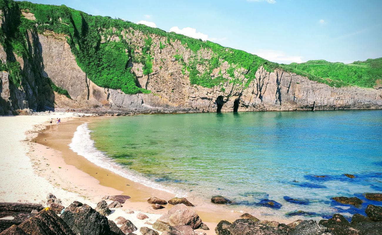 Фото Skrinkle Haven beach с светлый песок поверхностью