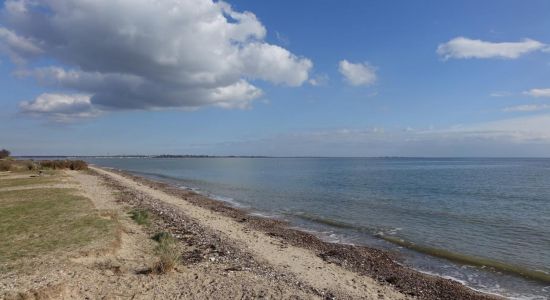 Fen Farm beach