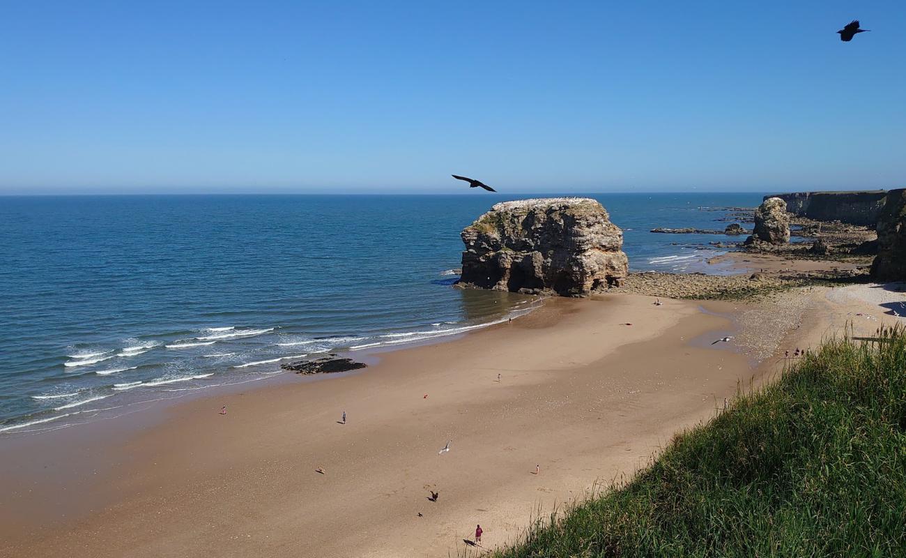 Фото Marsden beach с светлый песок поверхностью