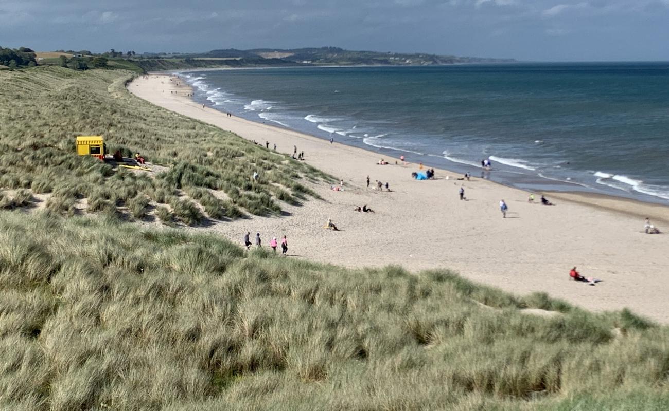 Фото Curracloe beach с золотистый песок поверхностью