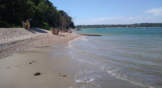 Bembridge Beach