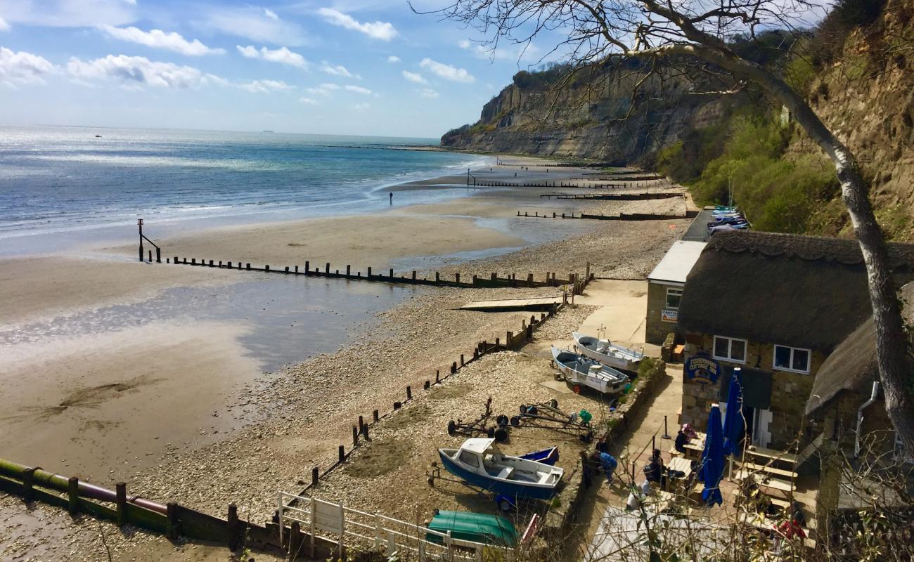 Фото Shanklin Beach,Luccombe End с светлая галька поверхностью