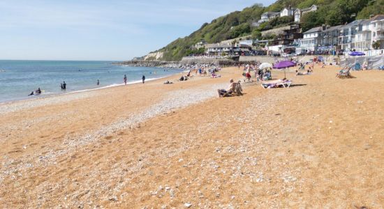 Ventnor Beach