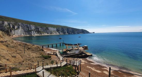 Alum Bay Beach