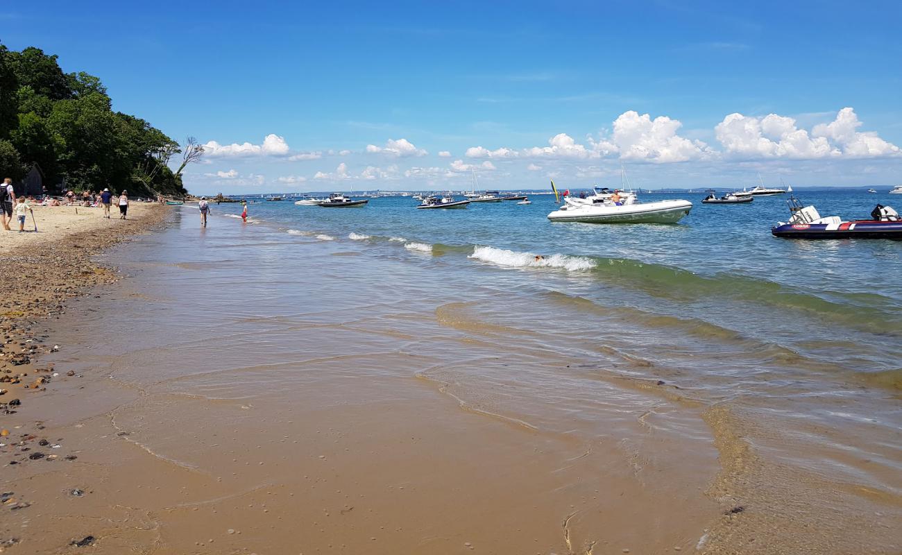 Фото Priory Beach с светлый песок поверхностью