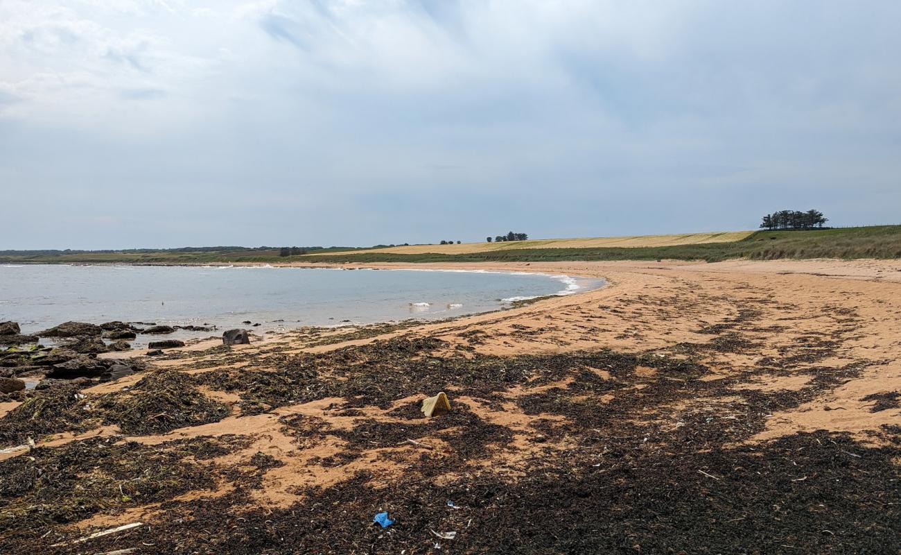 Фото Red Beach с светлый песок поверхностью