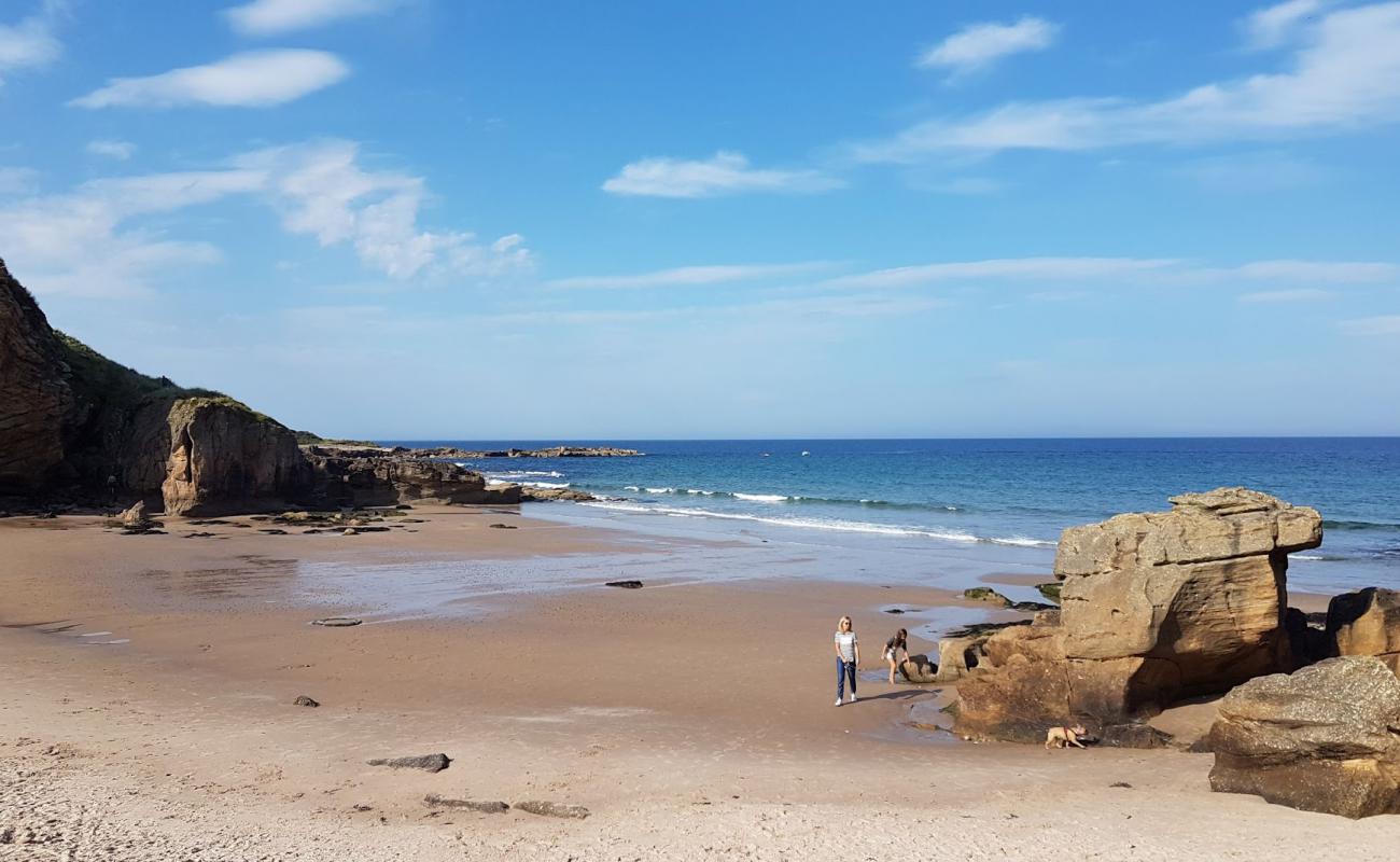 Фото Cove Bay Beach с песок с галькой поверхностью