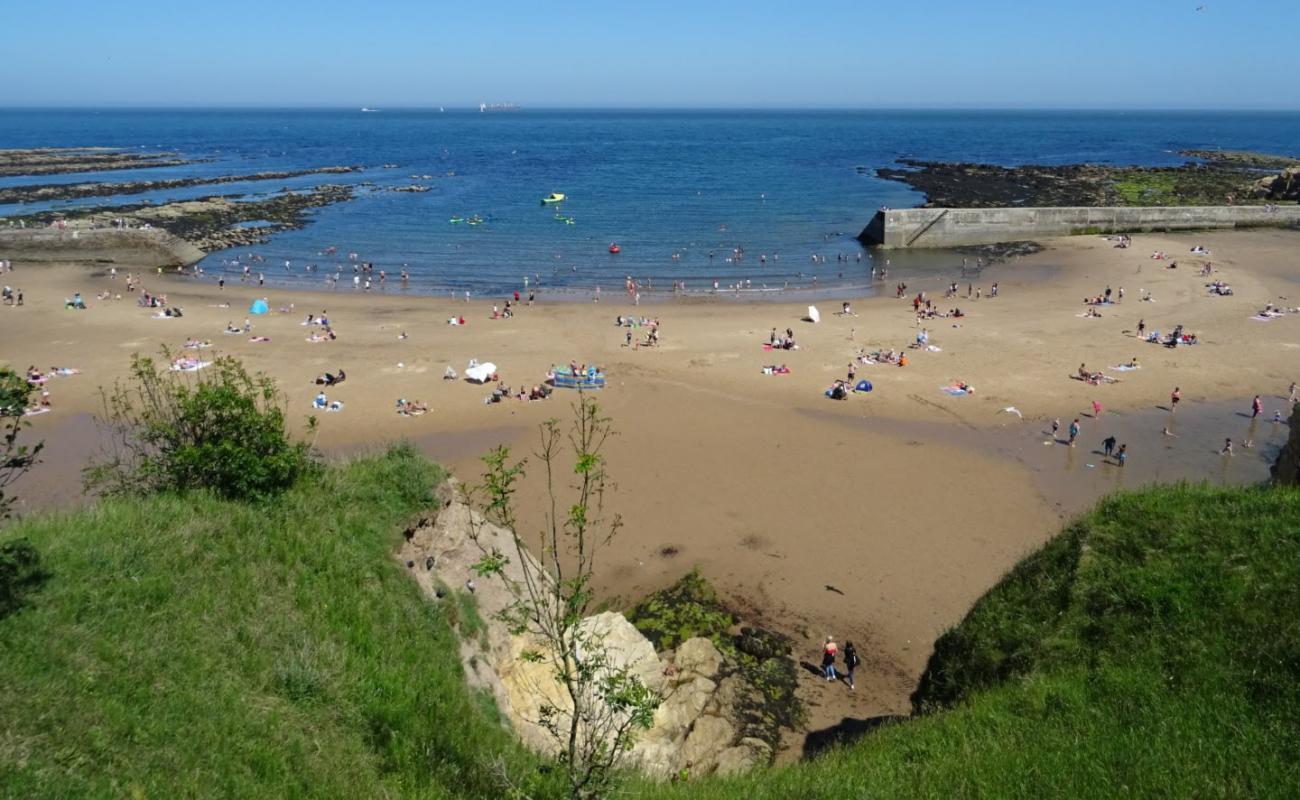 Фото Cullercoats Beach с светлый песок поверхностью