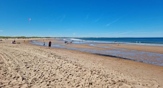 Cresswell Beach